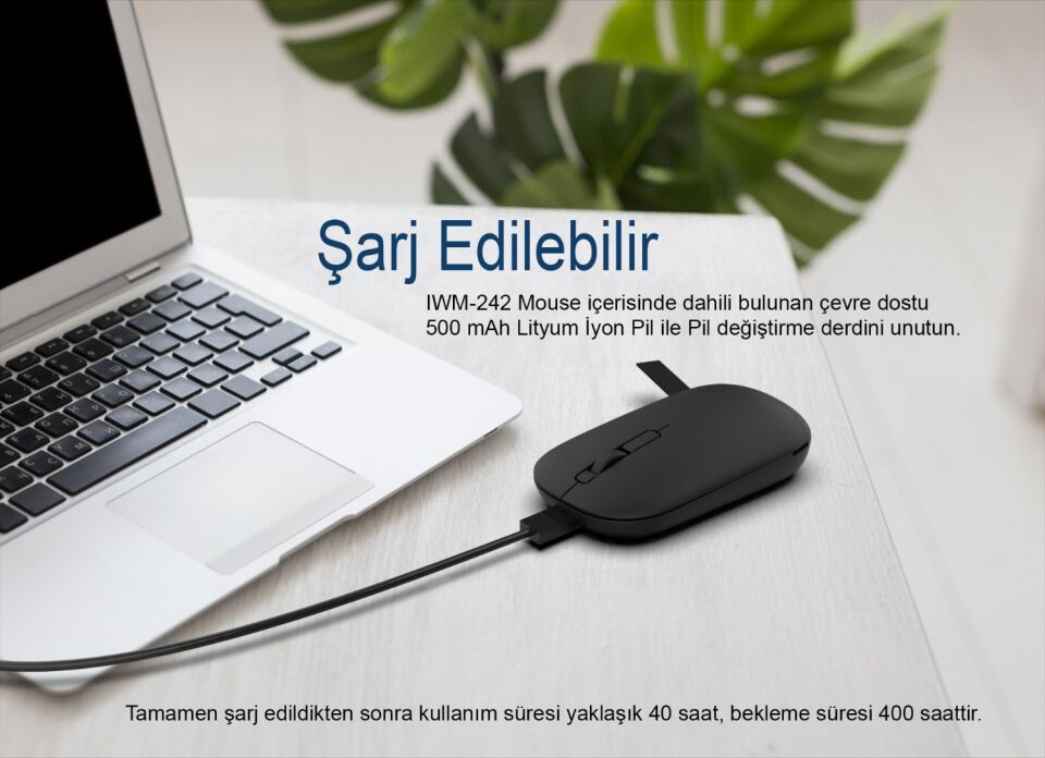 IWM-242 Bluetooth + 2.4G Kablosuz Çift Mod Şarjlı Sessiz Mouse Siyah