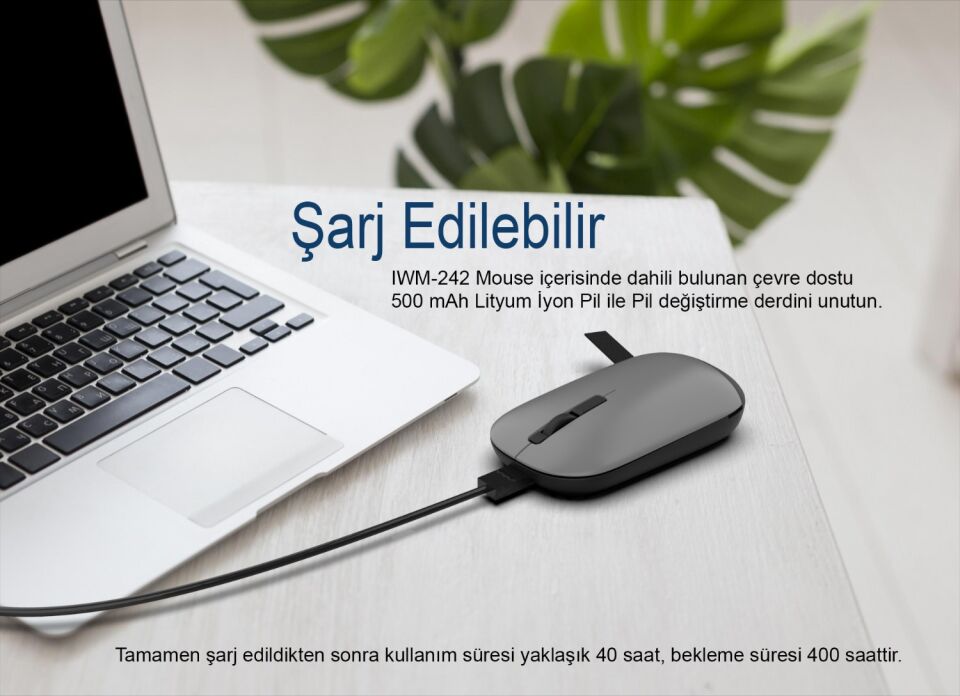IWM-242 Bluetooth + 2.4G Kablosuz Çift Mod Şarjlı Sessiz Mouse Gri