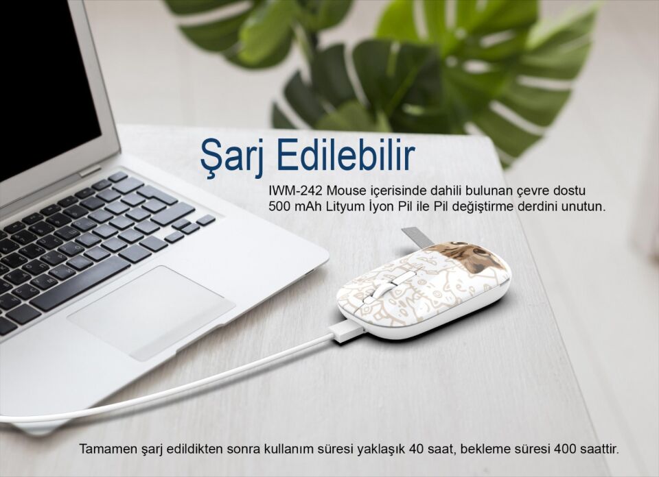 IWM-242 Bluetooth + 2.4G Kablosuz Çift Mod Şarjlı Sessiz Mouse Çok Renkli 